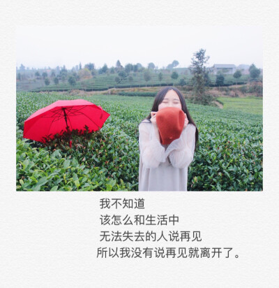 我想我该离开了