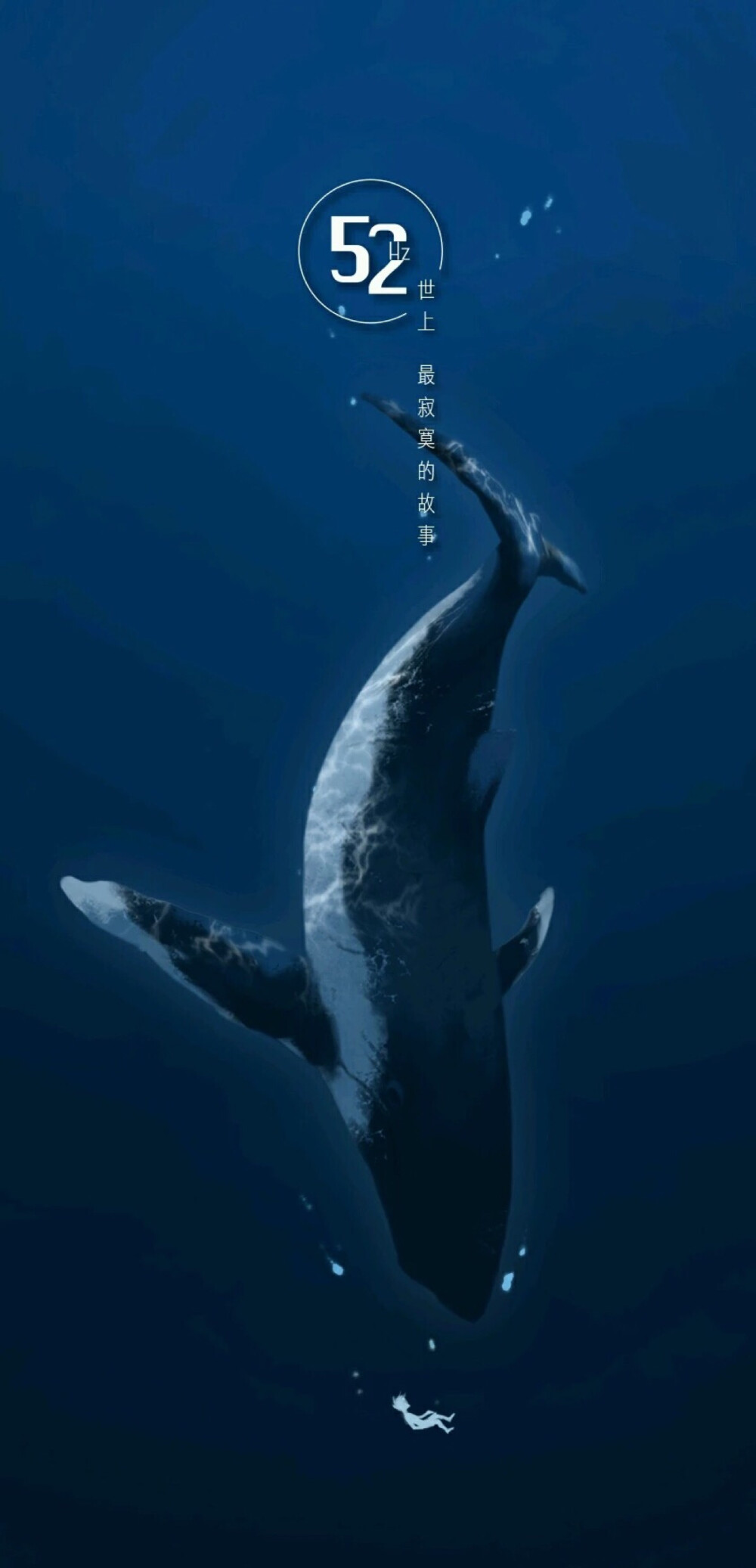 名古屋鲸鱼