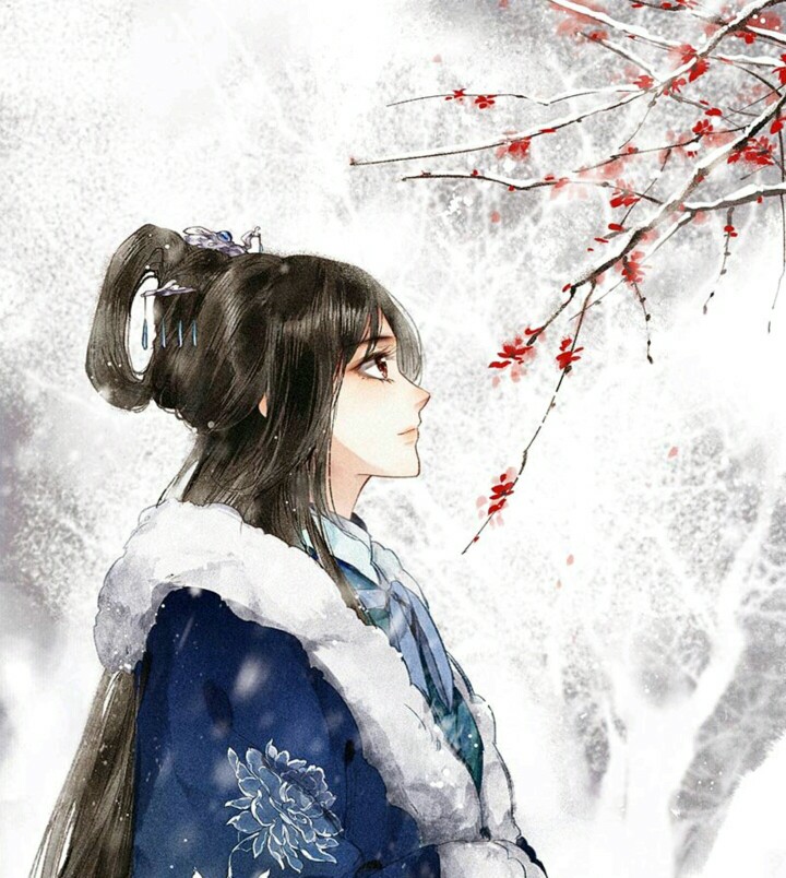 踏雪寻梅