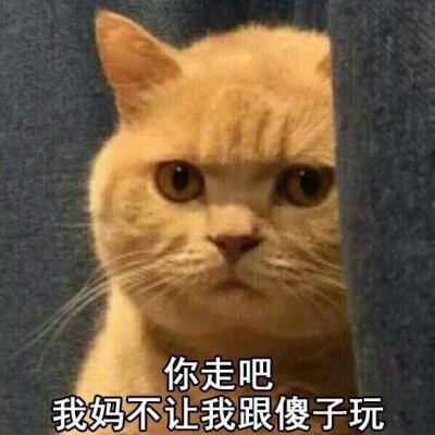 你走吧,我妈不让我跟傻子玩.