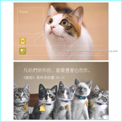 [与光同行]爱心小猫咪喵星人圣经福音卡经文卡手写名片(一元10张)