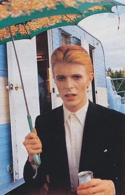 大卫·鲍威 david bowie