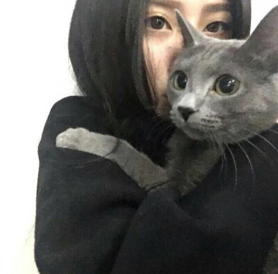 动物 情侣头像