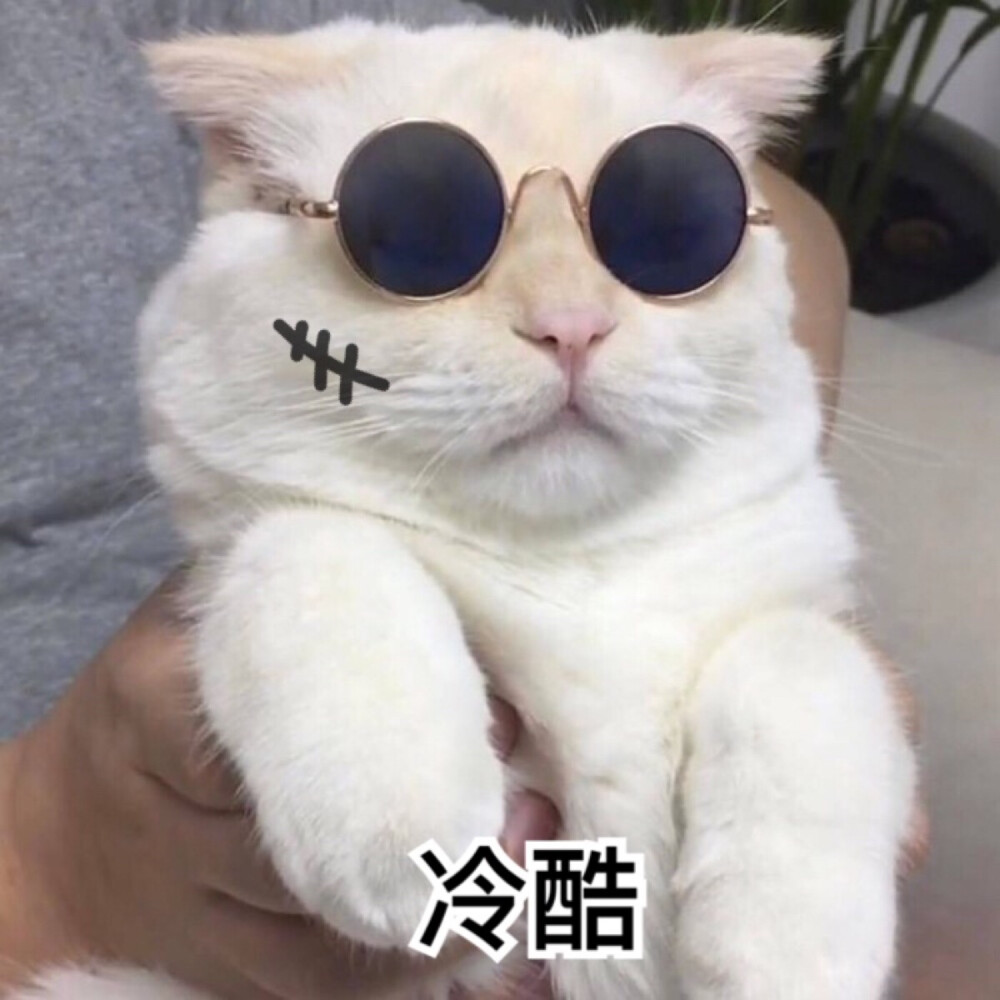 [猫咪表情][可爱表情][软妹表情]喵星人 汪星人 表情包 可爱 萌 by:含