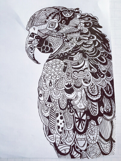速写线描画