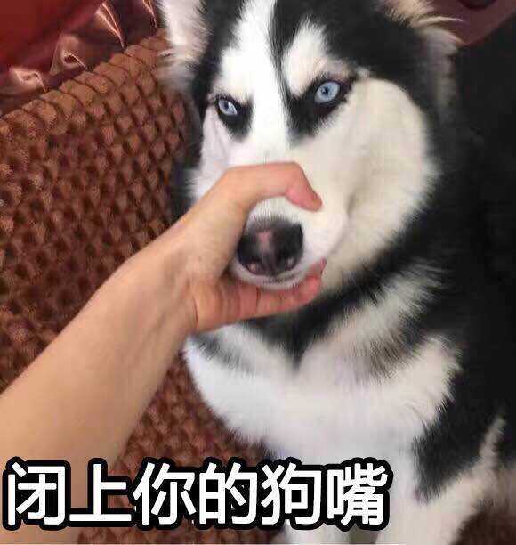 闭嘴