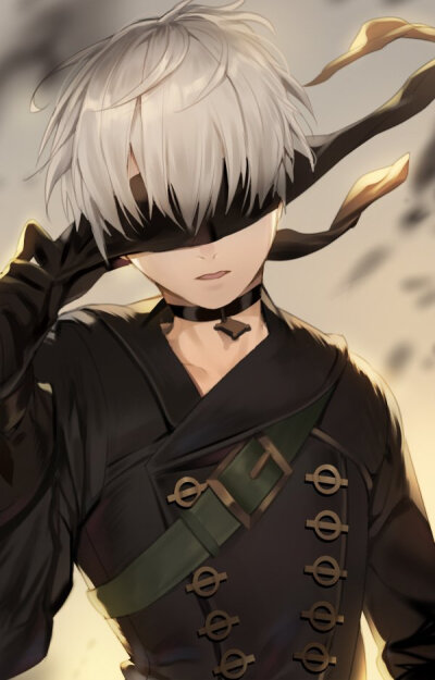 尼尔:机械纪元 nier:automata 9s 画师:カルチェット 本作品pixiv id=