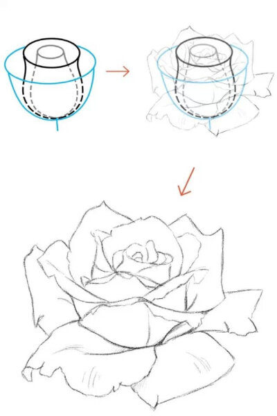 玫瑰花画法