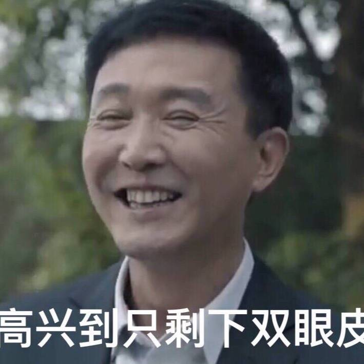 人民的名义吴刚表情包