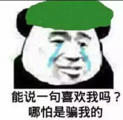 班长表情包