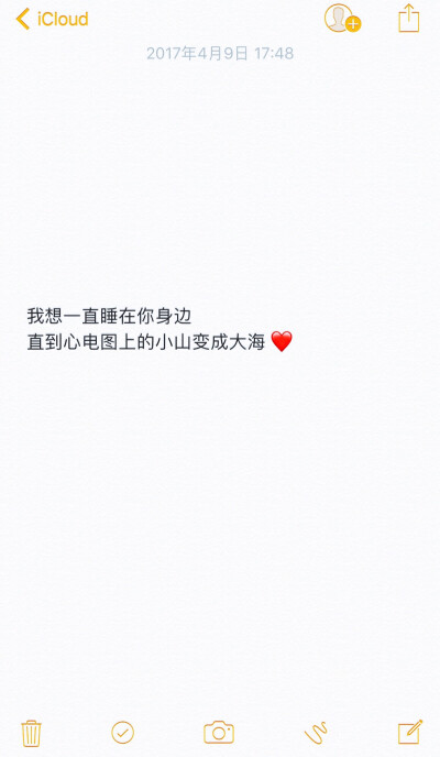 文字 关于爱情