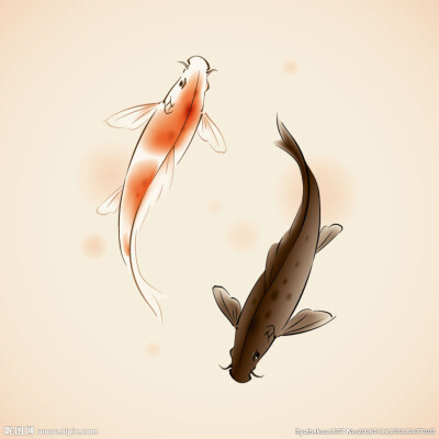 太极鱼 锦鲤 红色 黑色 纹身 黑白 线稿鱼
