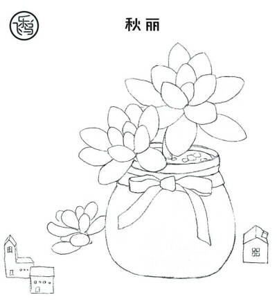 线稿】素材来自飞乐鸟出版的《水彩多肉绘》,建议用彩铅或水彩画练习