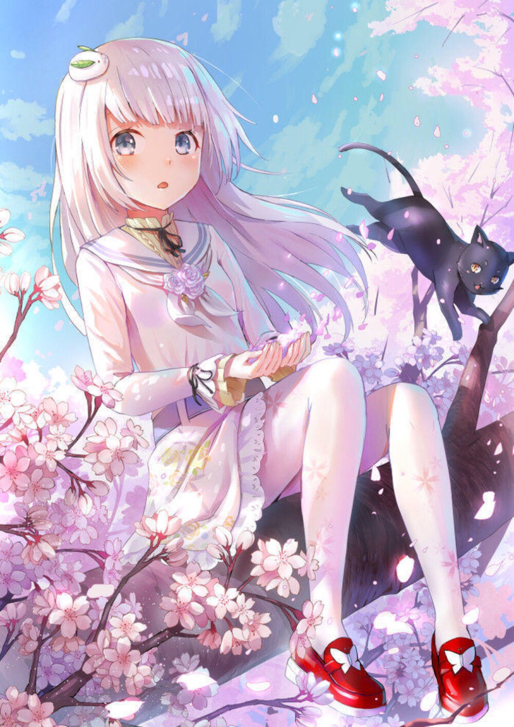 白发少女 唯美系 樱花 黑猫 白丝 二次元 动漫 可爱系