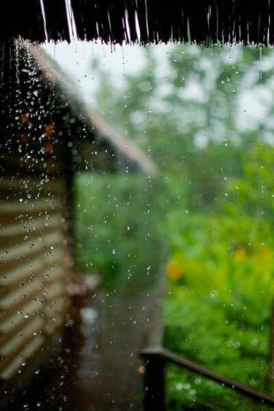 独卧窗前夜听雨