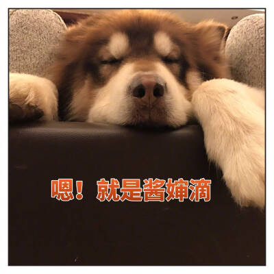 兔酱  发布到  表情包 图片评论 0条  收集   点赞  评论  酒鬼 0 0