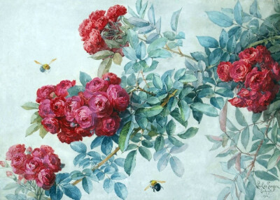 油画花卉 红蔷薇