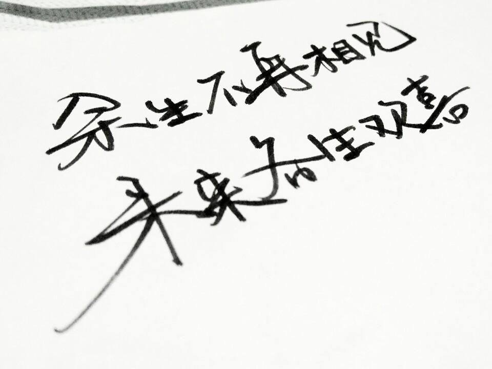 有时候文字也是一种情绪 太多的话语不若简短的文字 情感句子 手写