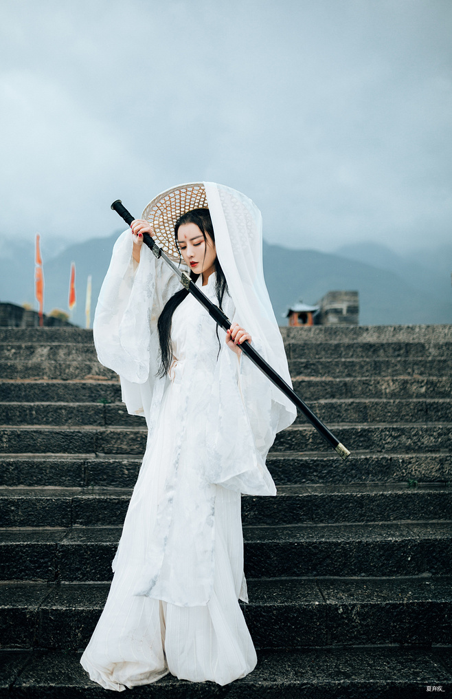 了却君王天下事,赢得生前身后名。可怜白发生