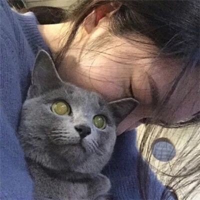 手绘猫女