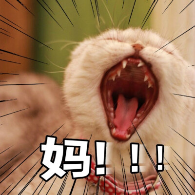 万事叫妈