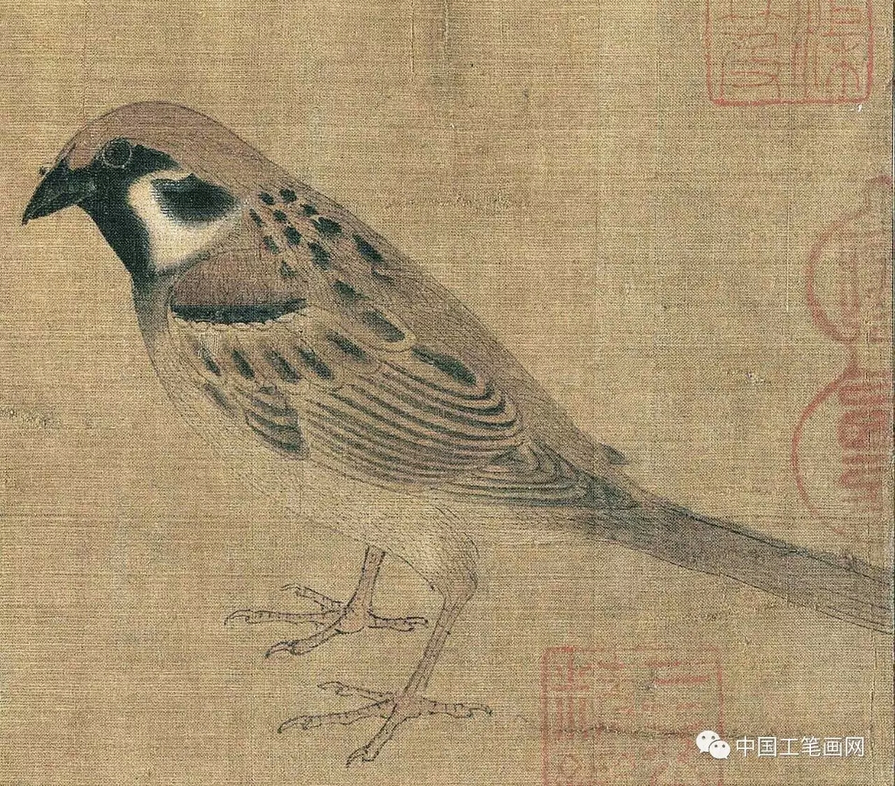 局部图《写生珍禽图》为五代西蜀画家黄筌的传世名作,图中描绘了鹡