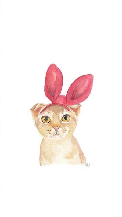 特耐小猫猫