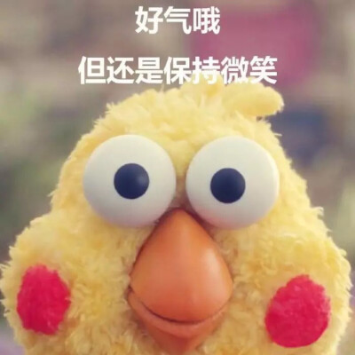 好气哦,但还是要保持微笑