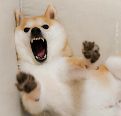 柴～