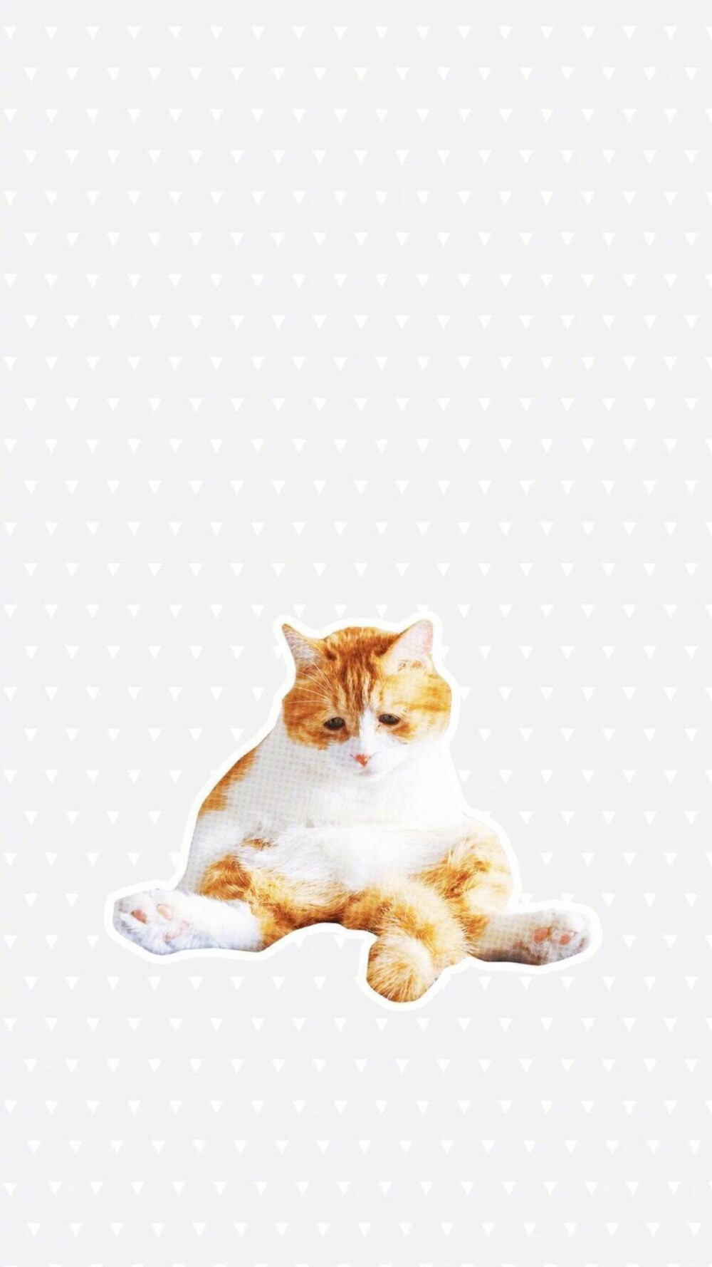 颓废猫