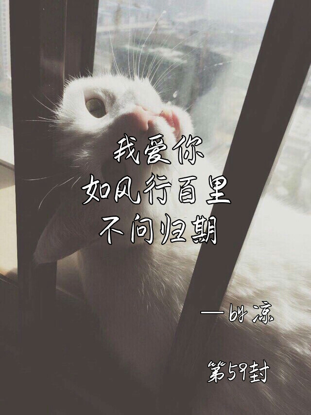 我爱你 如风行百里 不问归期 - 堆糖,美图壁纸兴趣社区