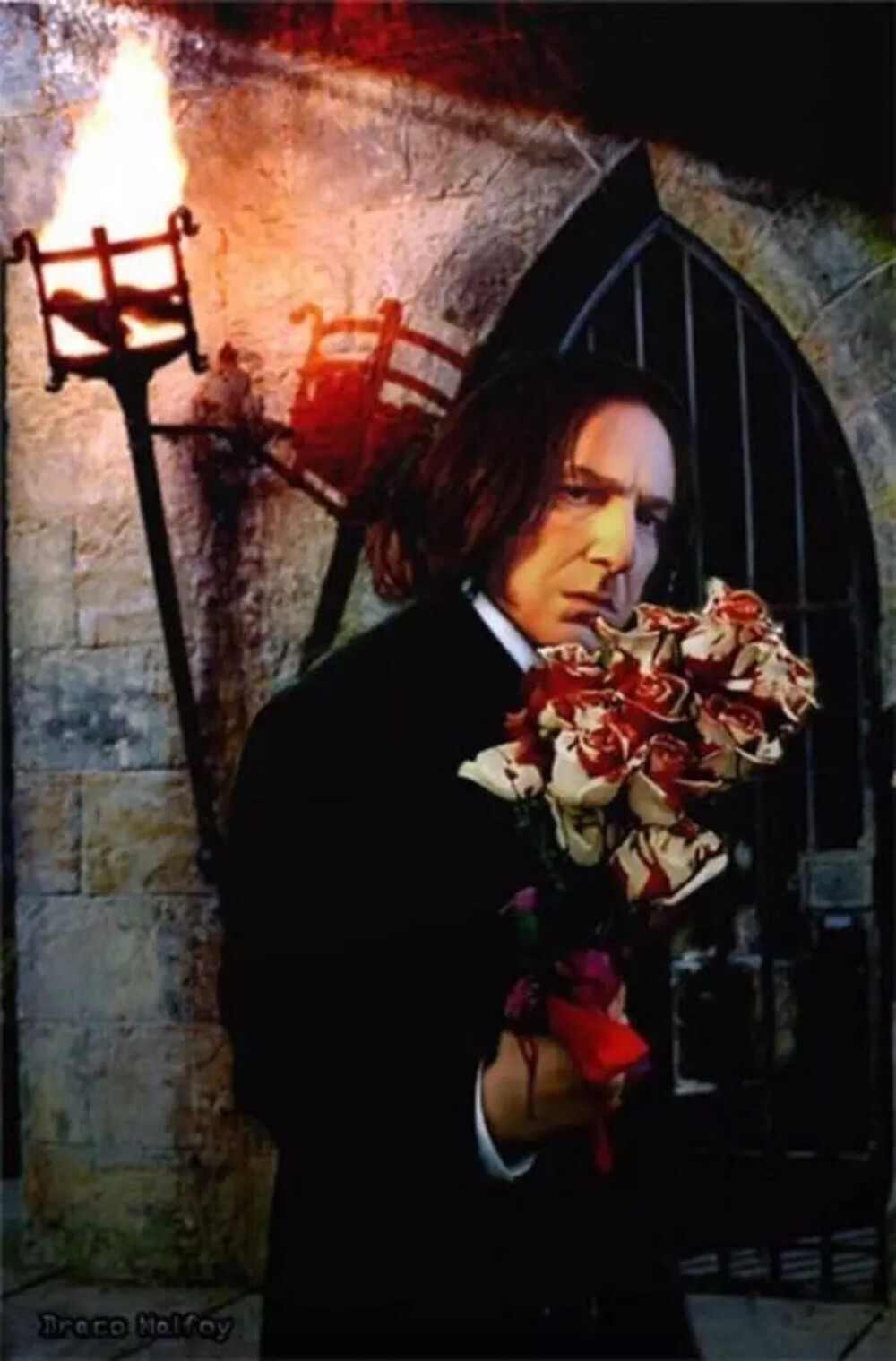 severus snape - 堆糖,美图壁纸兴趣社区