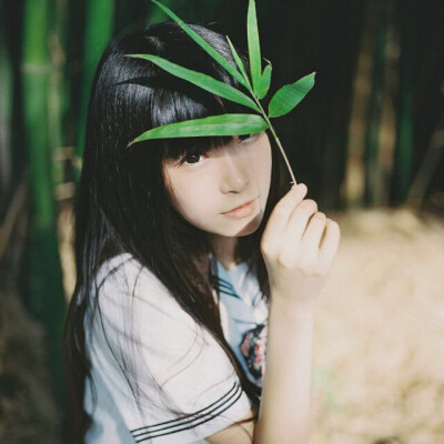 半藏森林