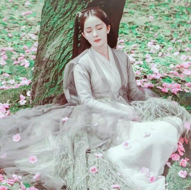 杨幂 白浅 《三生三世十里桃花》