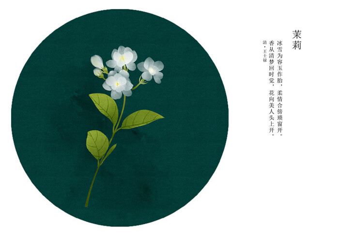 茉莉花语:你是我的.