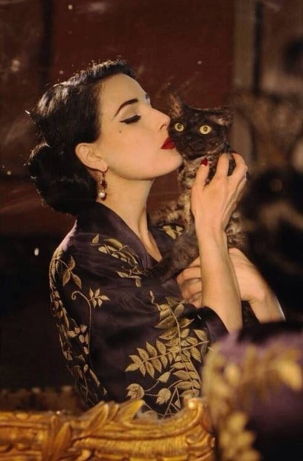 dita von teese 蒂塔.万提斯