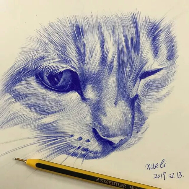 猫咪,圆珠笔画