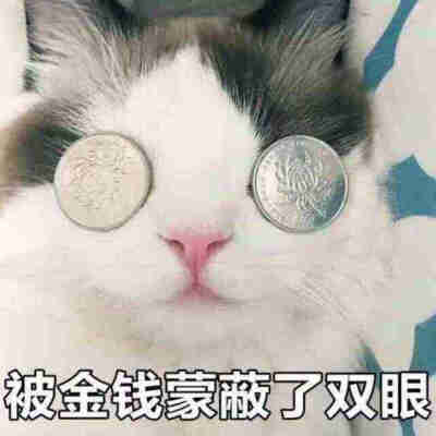被钱蒙蔽了双眼