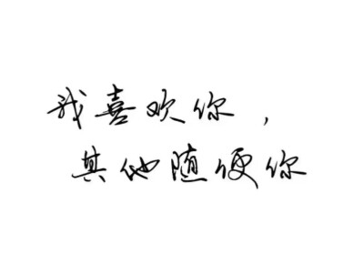 我喜欢你,其他你随便.手写文字.