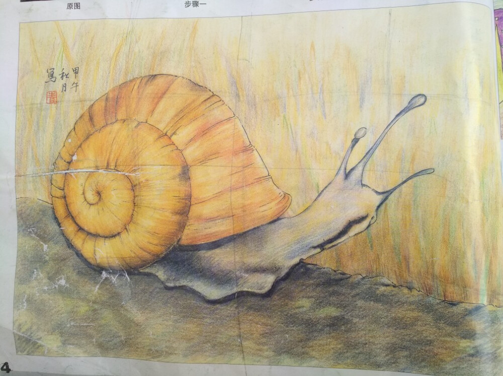 蜗牛