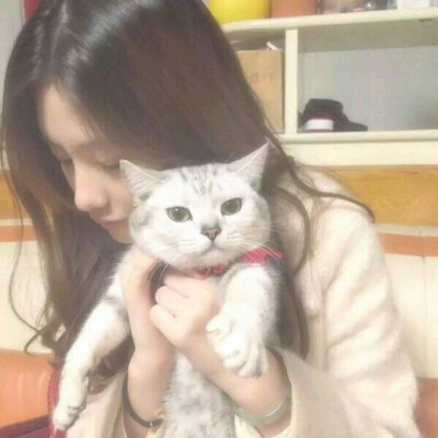 性感头像 成熟头像 个性头像 抱猫少女 美女和猫 少女与猫 女孩和猫