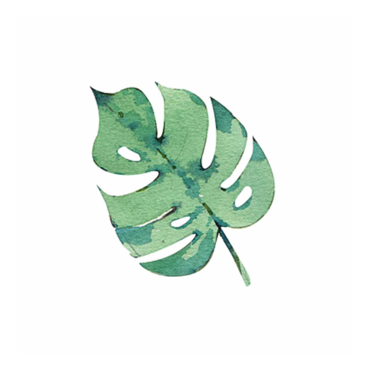 手绘清新大叶植物装饰图片素材免费下载 - 觅知网