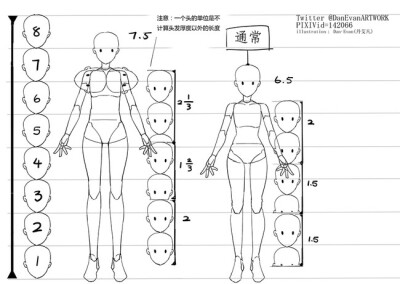 头身比例