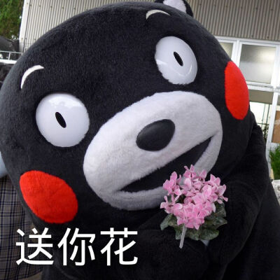 变花表情包