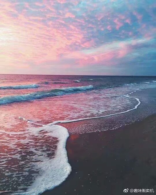 海滩 粉色 浪漫 壁纸 背景