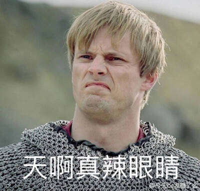 梅林传奇表情包