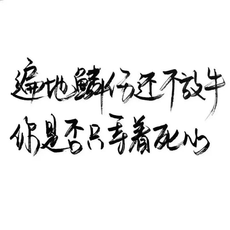 遍体鳞伤还不放手你是否只等着死心