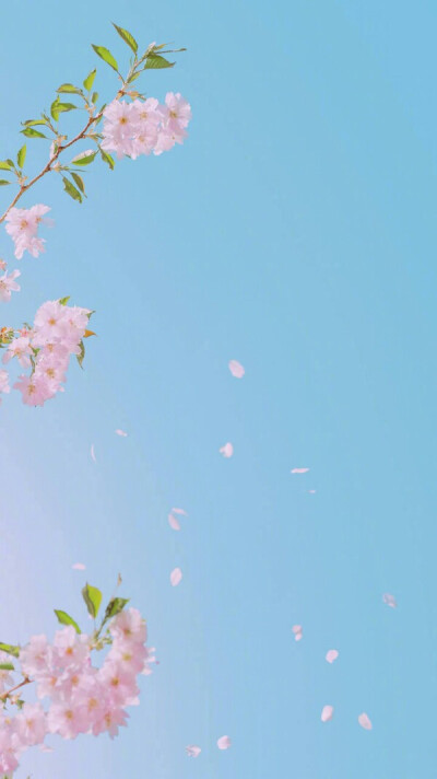 夏日风 壁纸背景 锁屏 清新