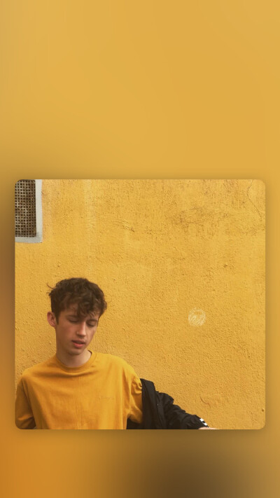 戳爷troye sivan 壁纸