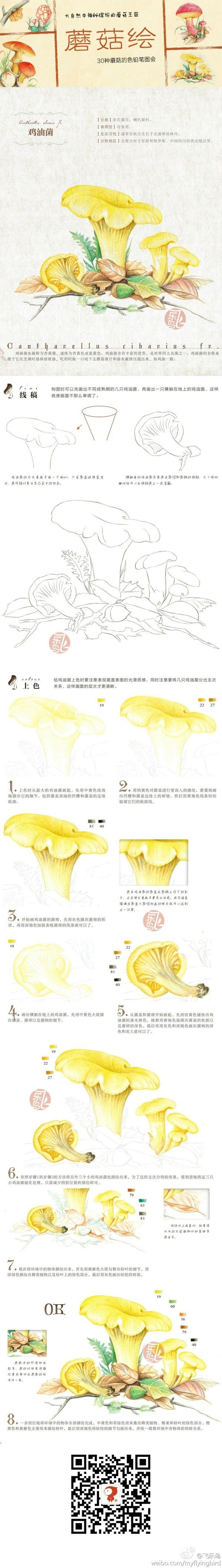 彩铅教程